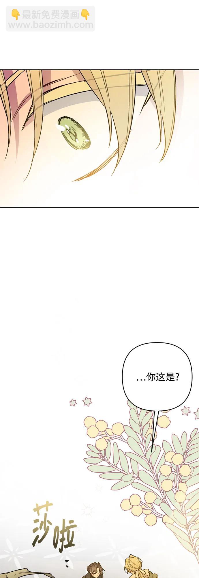 第148话 那个小姐，那个骑士61
