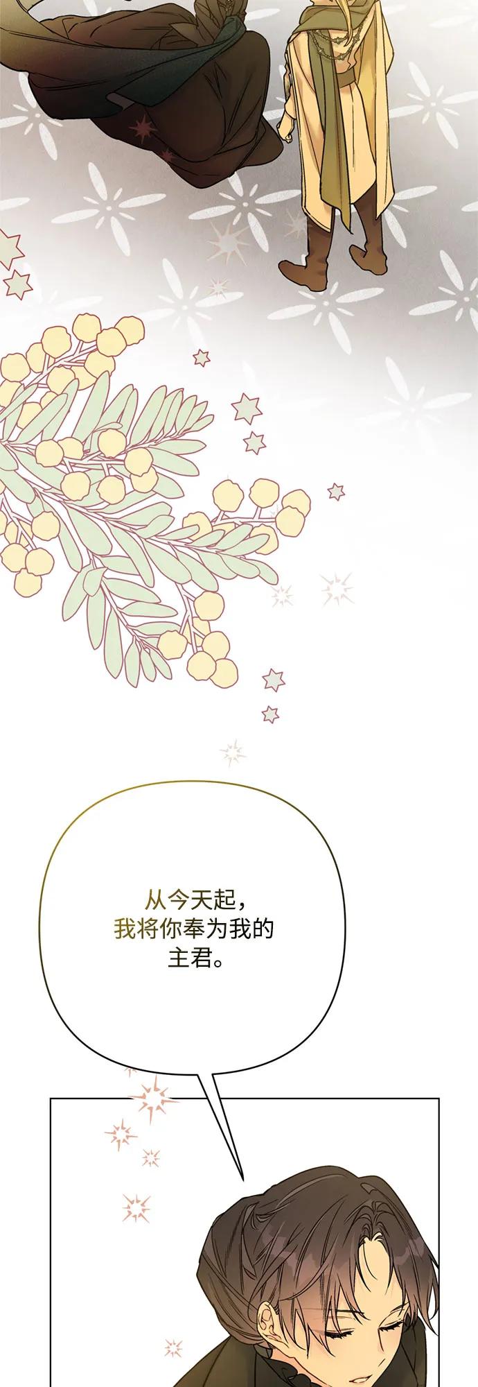 第148话 那个小姐，那个骑士62