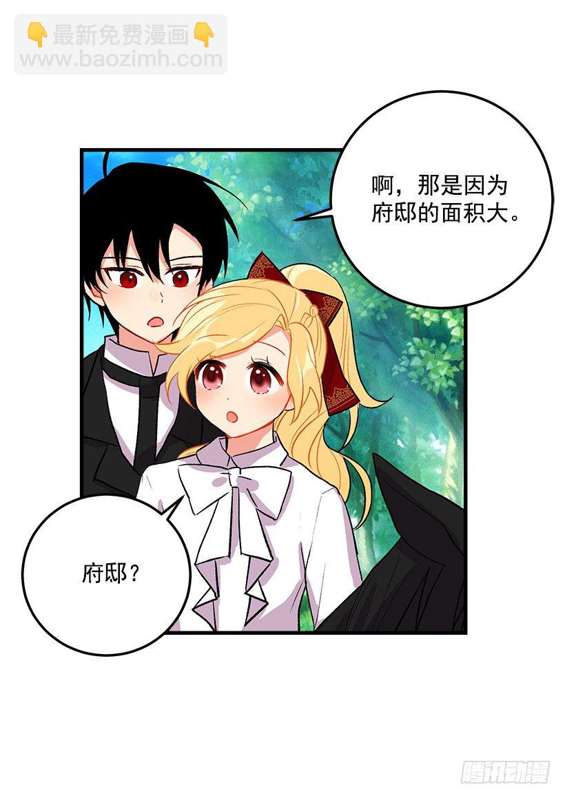 精灵石24