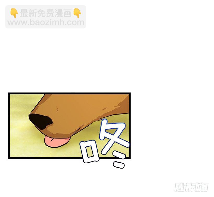 熊11