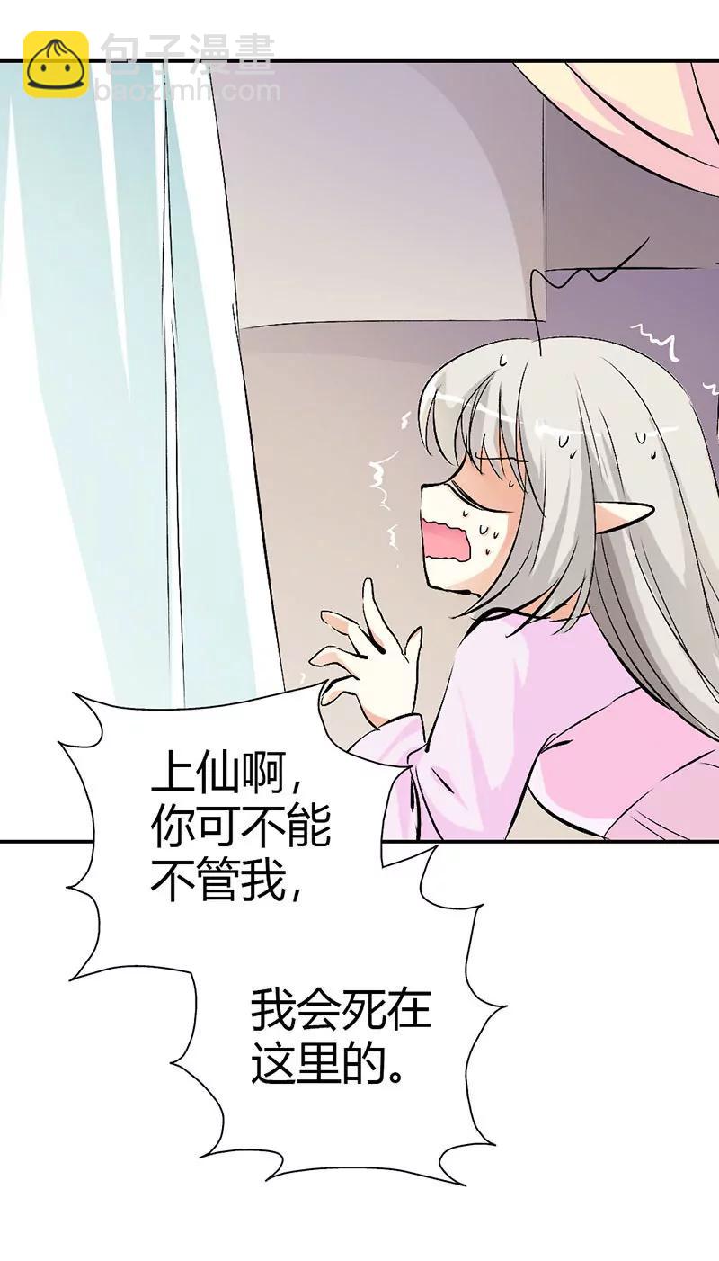 上仙是我的3