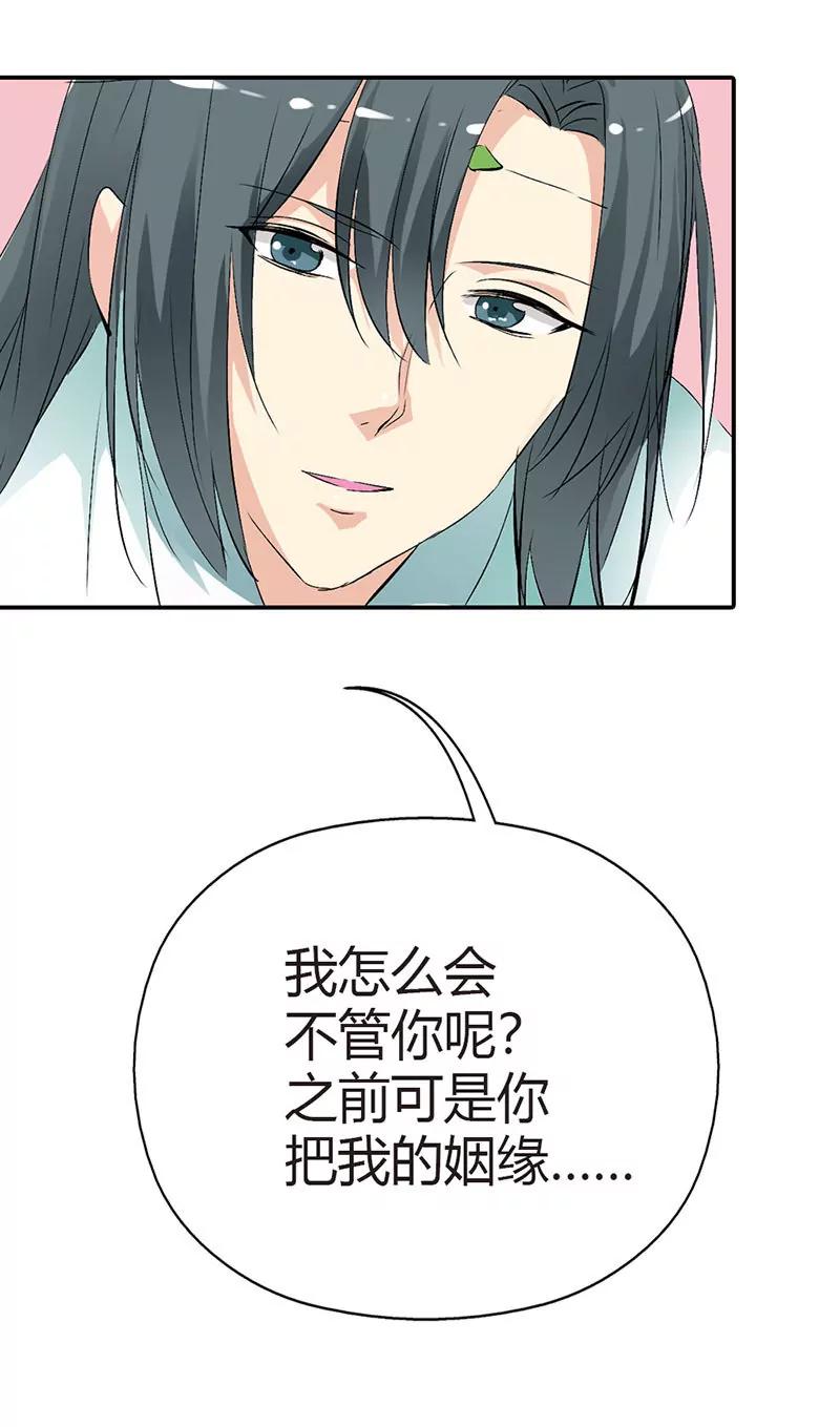 上仙是我的4
