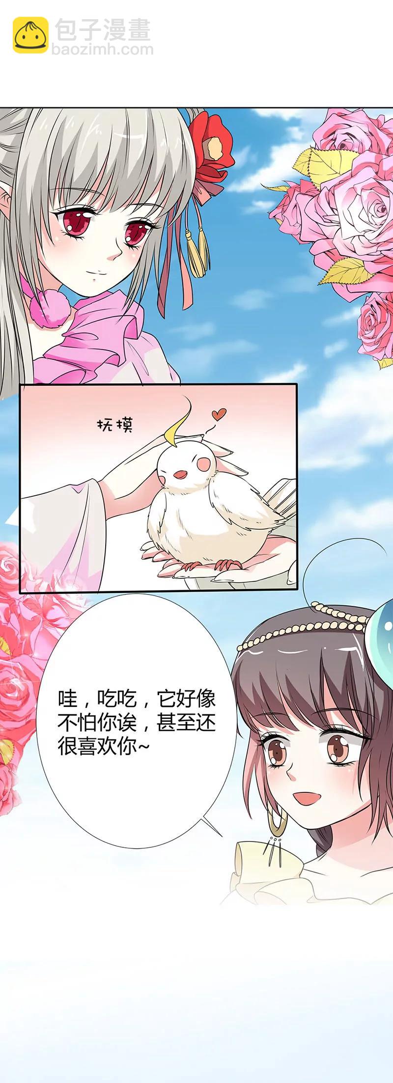 情缘树4