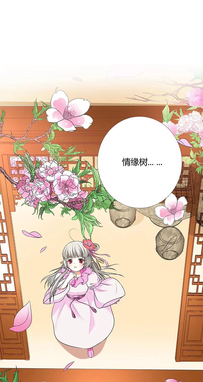 情缘树9