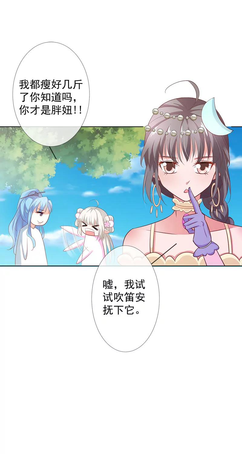 金翅比翼鸟暴走8