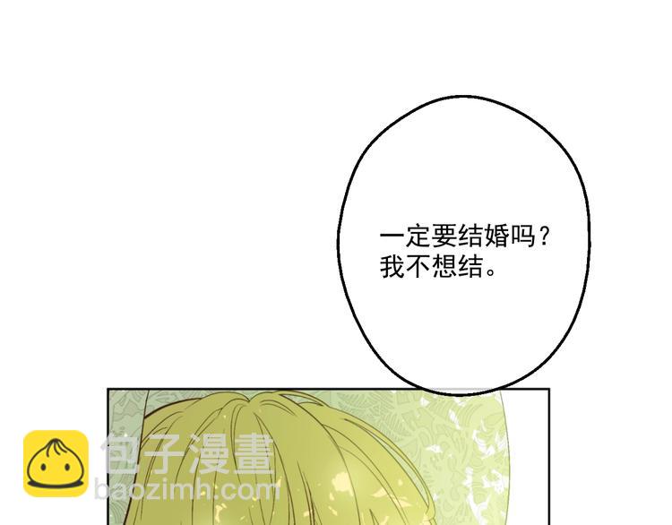 第43话 伊尔的礼物117