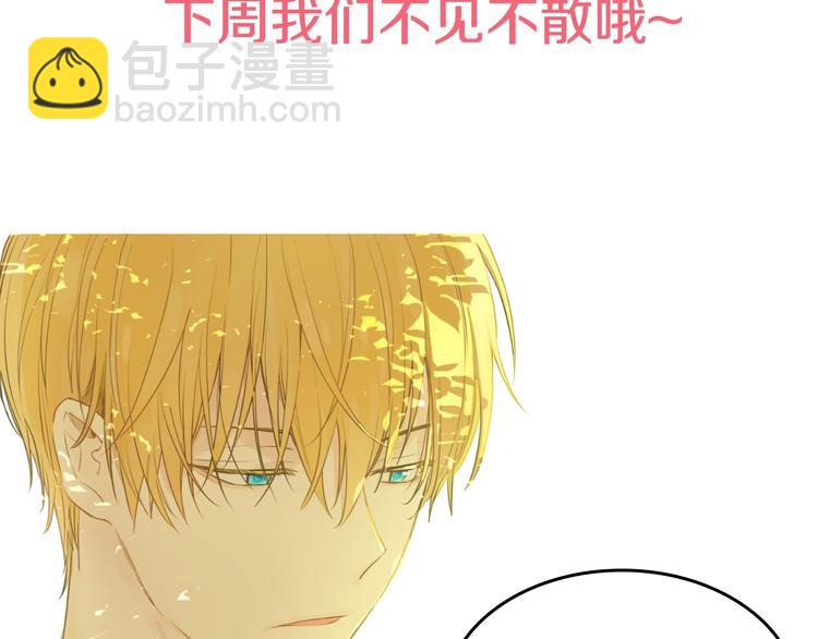 第44话 萌公主的愿望133