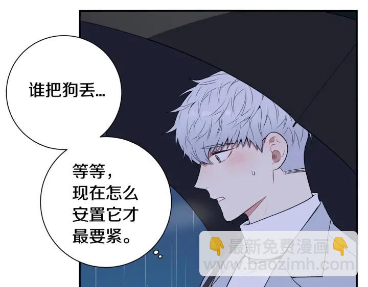 番外一 三月的愿望13