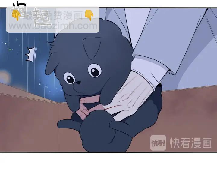番外一 三月的愿望18