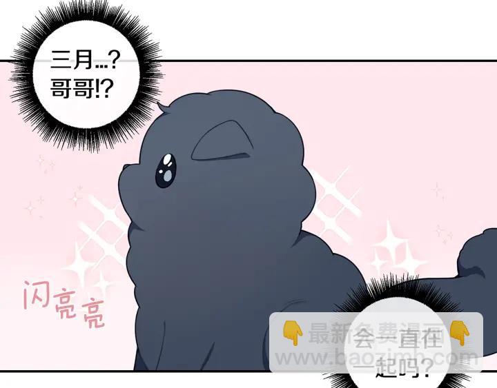 番外一 三月的愿望55