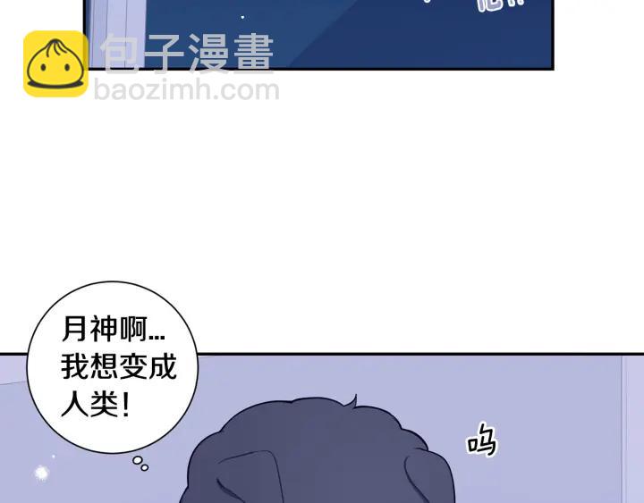 番外一 三月的愿望97