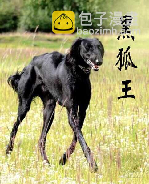 摩的大飚客10