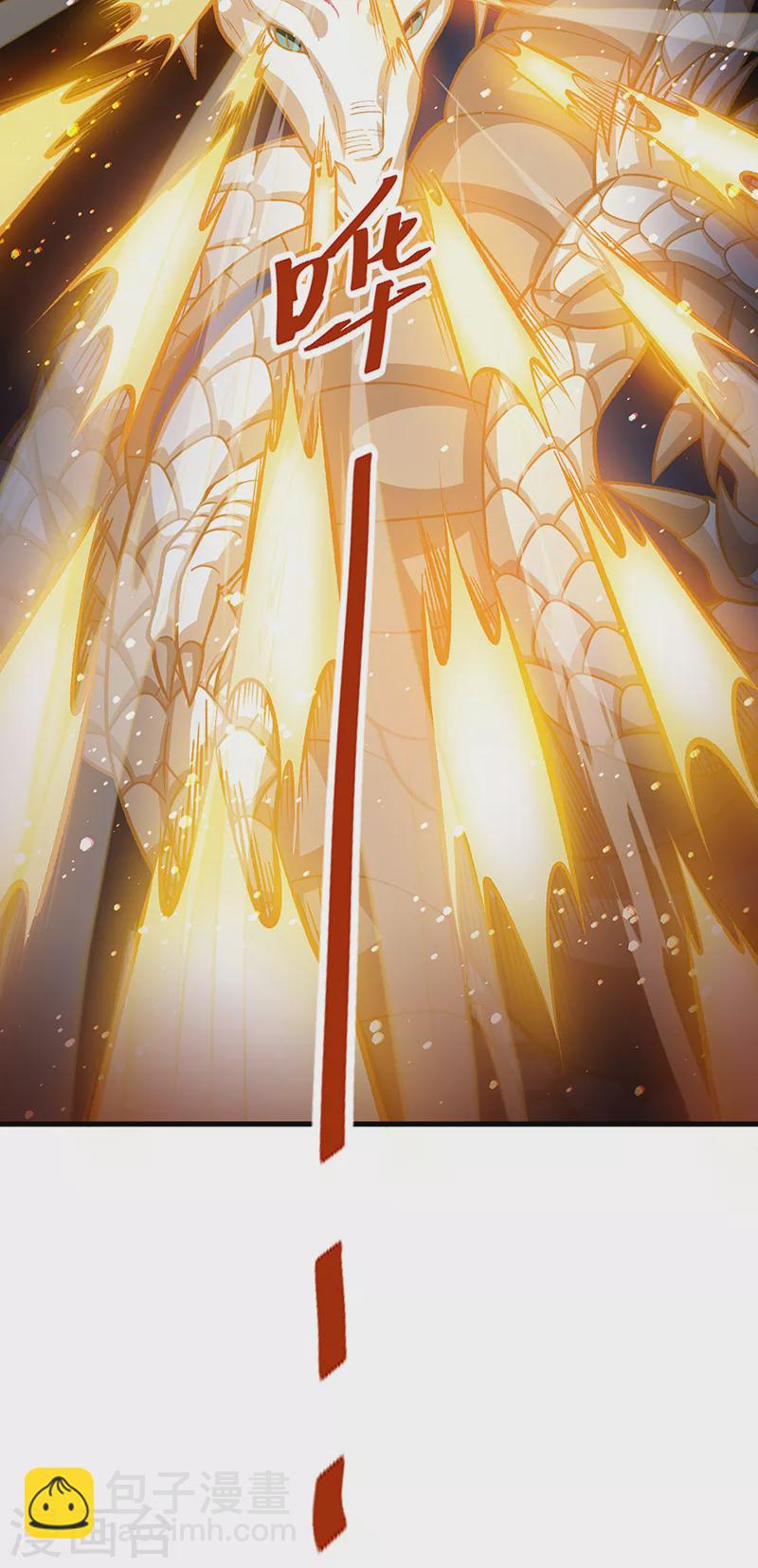 第495话底牌尽出，百万符兵！41