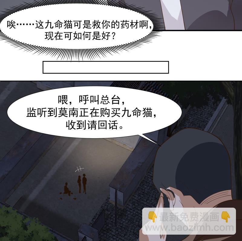 第459话 九命猫28