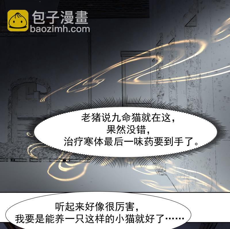 第459话 九命猫5