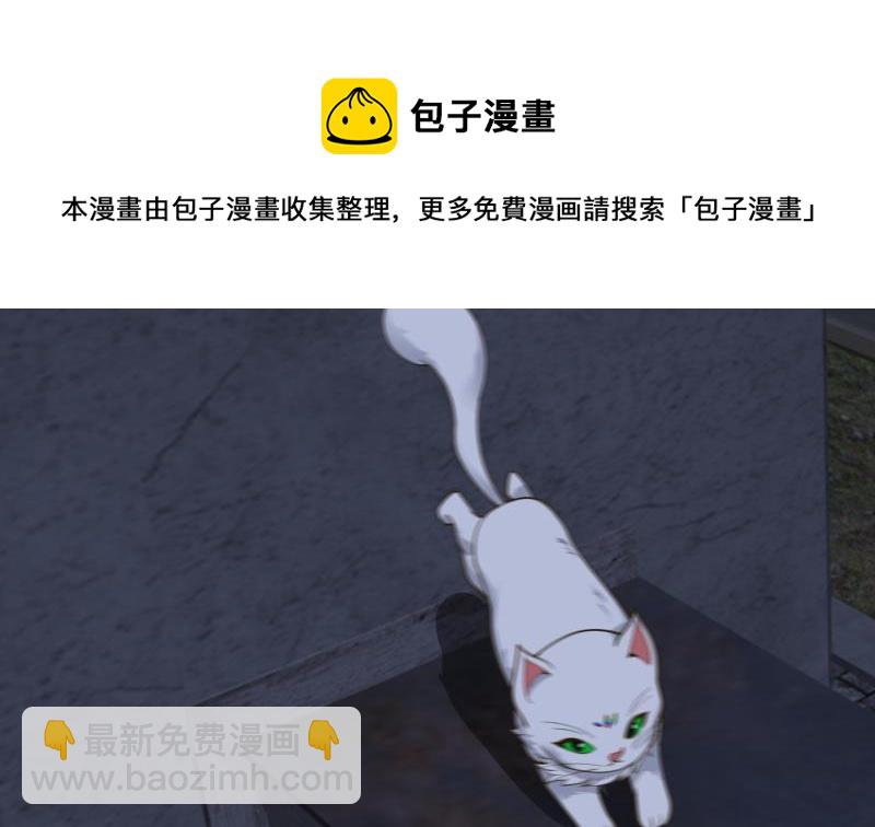 第459话 九命猫8