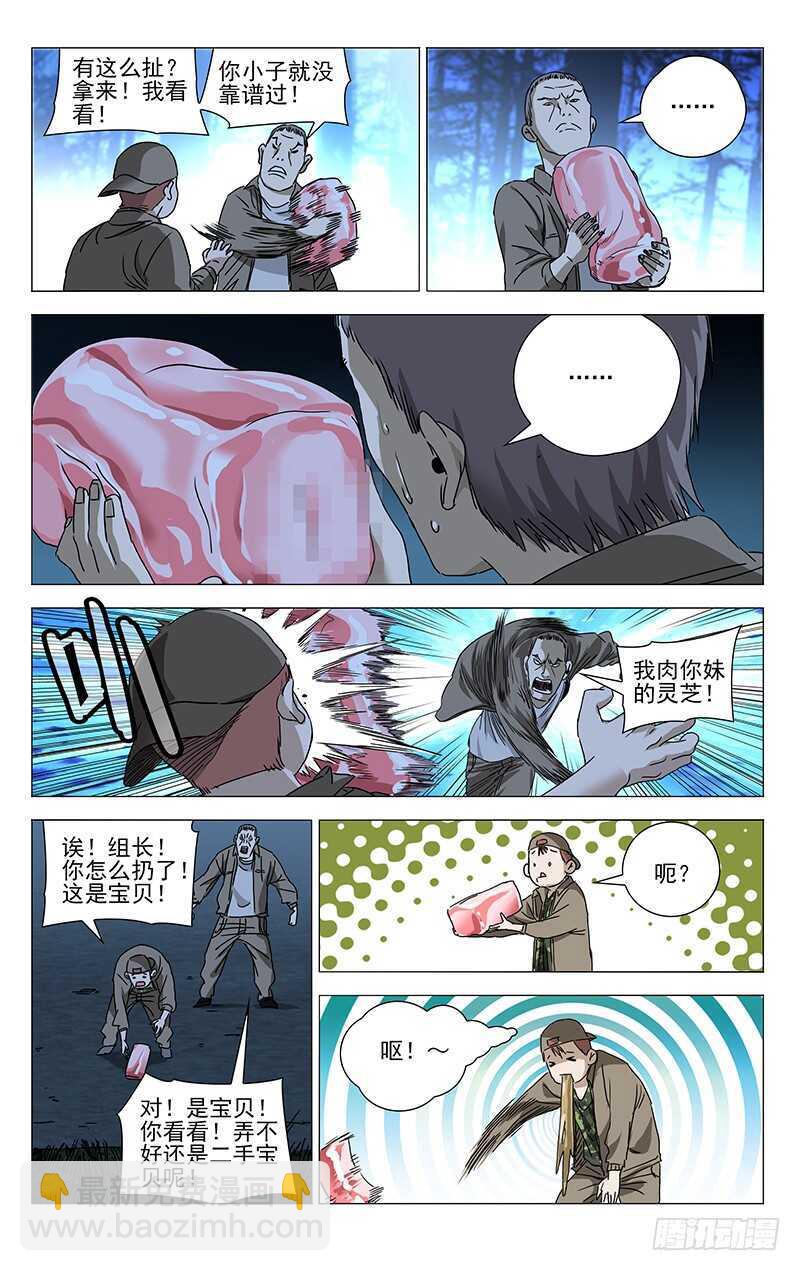 291 肉灵芝11