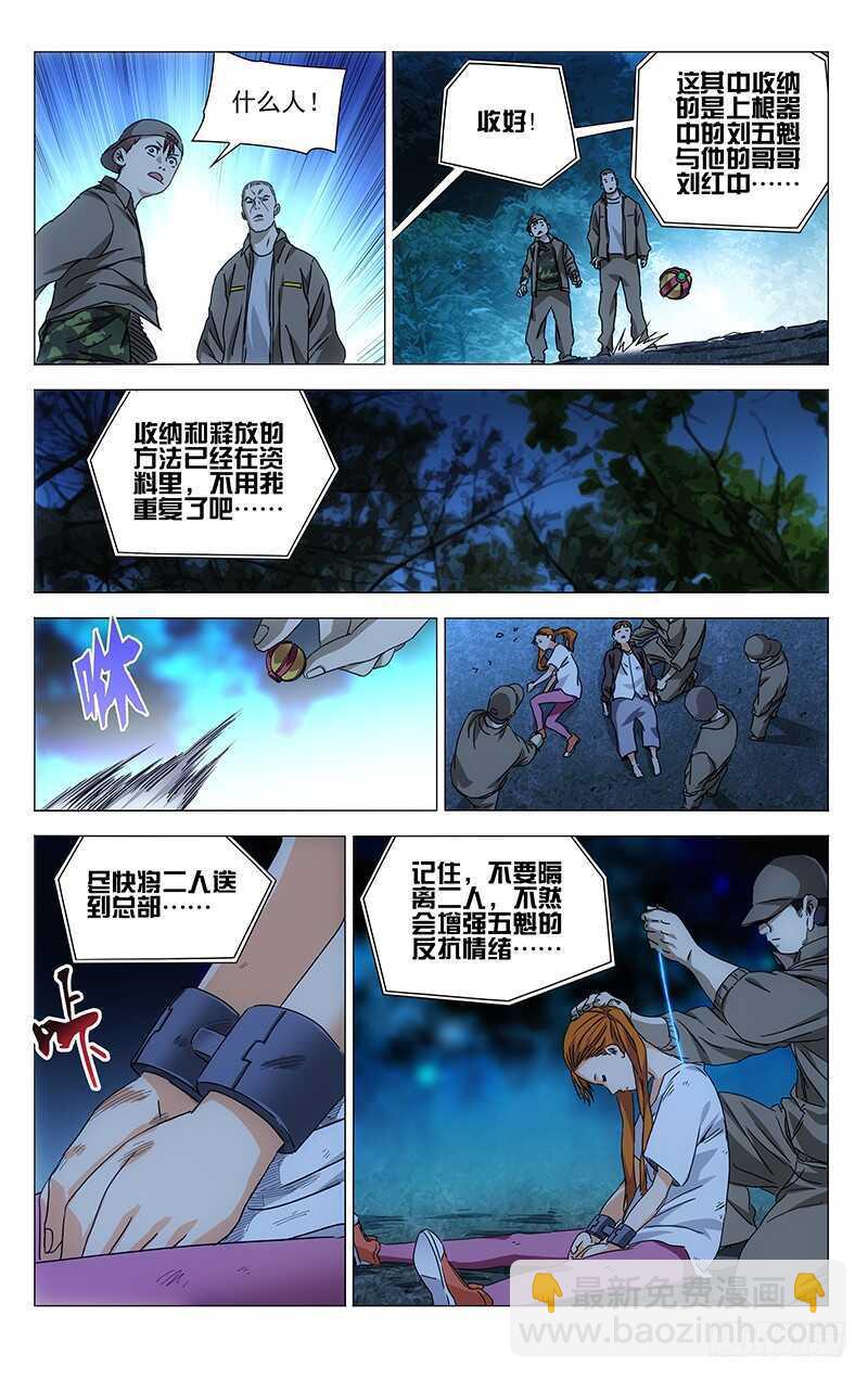 291 肉灵芝8