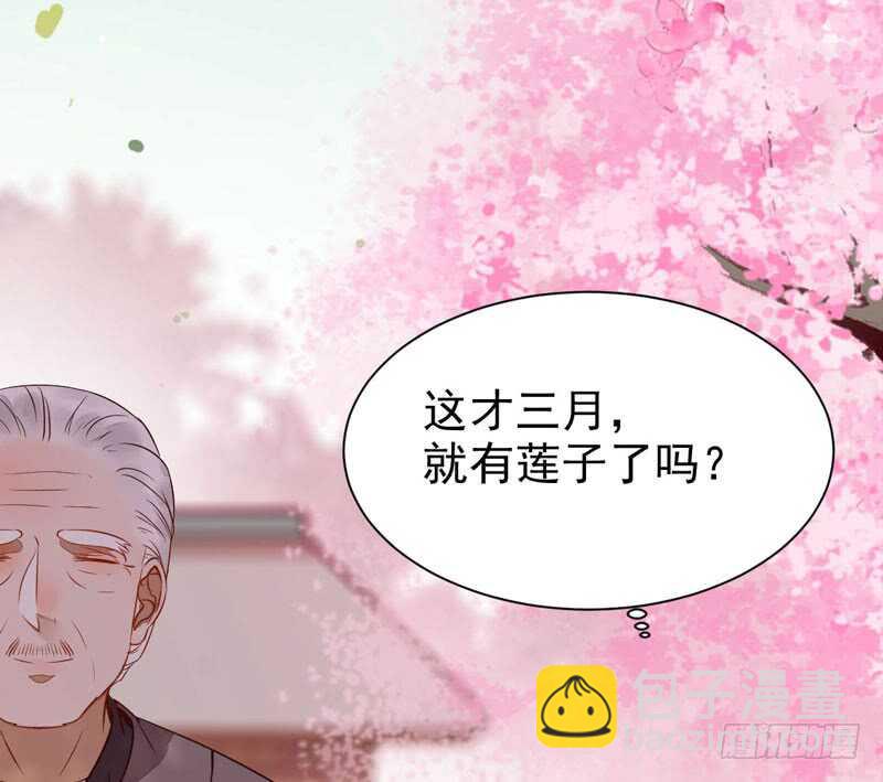 星云城2