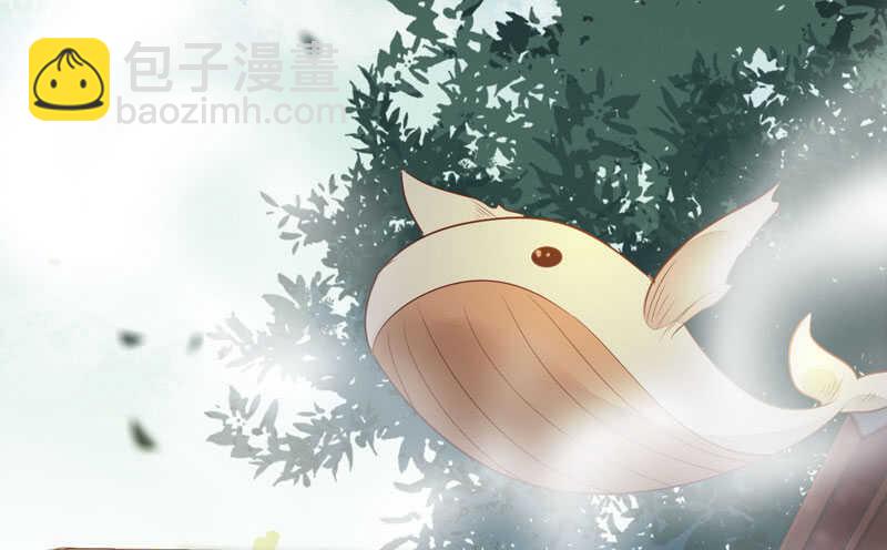 星云城34