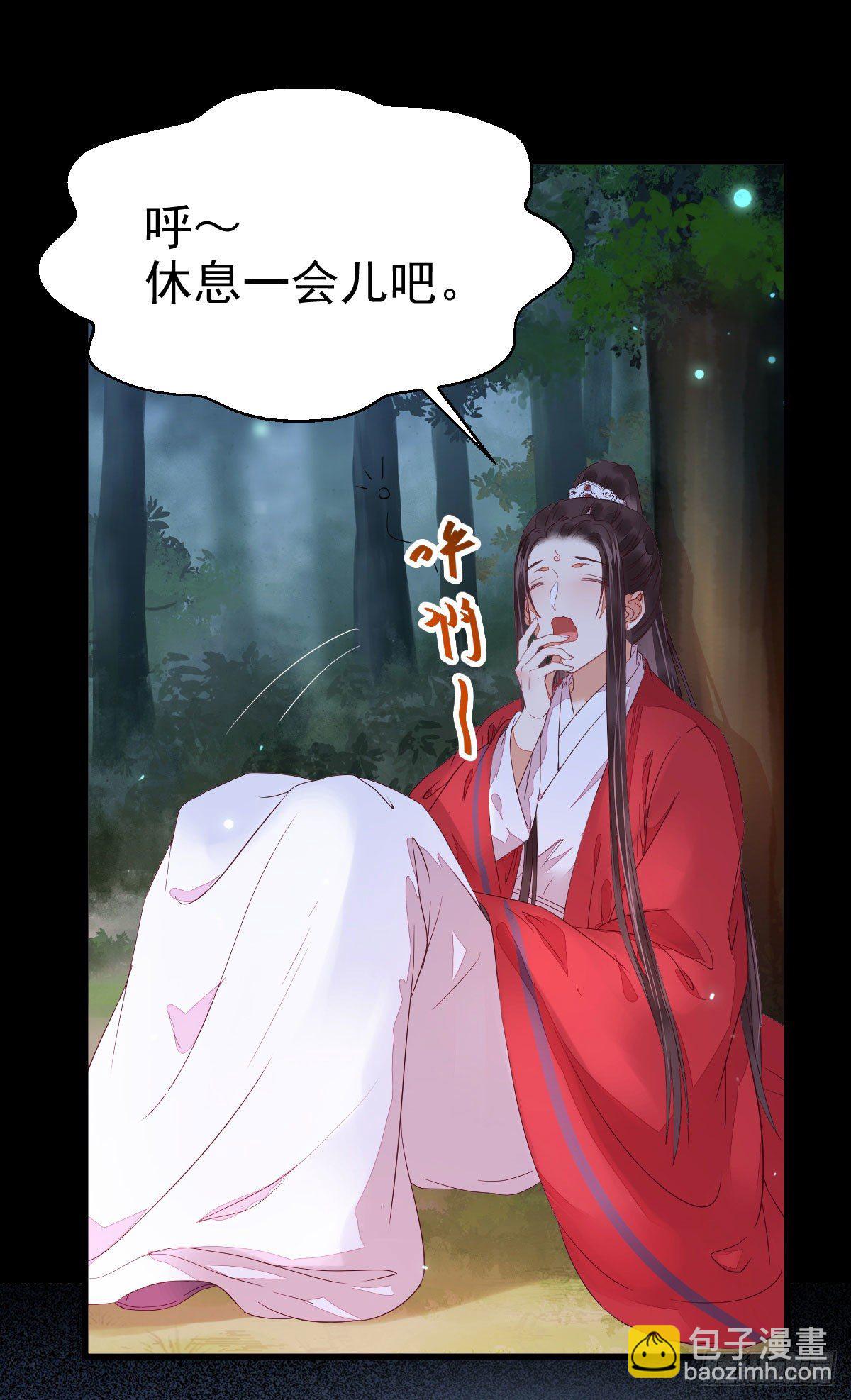 玉面狐狸6