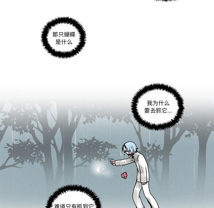 23243