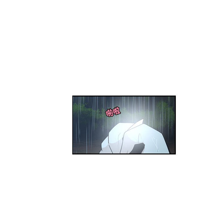 23256