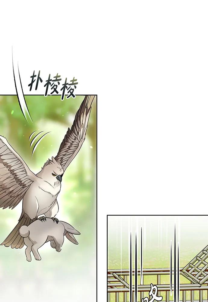 [第123话] 猎鹰大会128