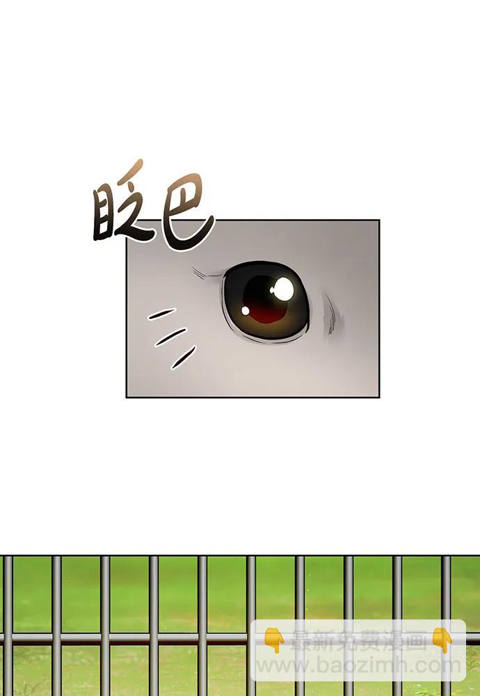 [第123话] 猎鹰大会130
