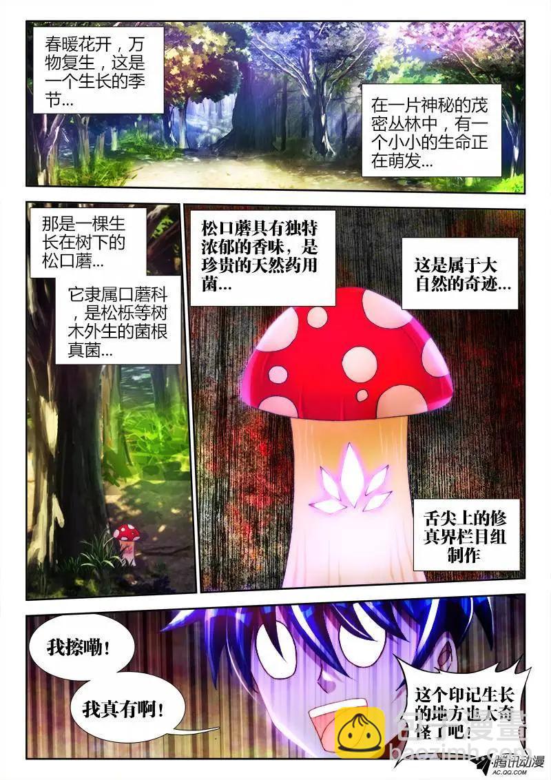 112、舌尖上的修真界4