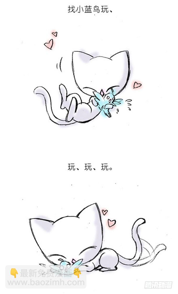 番外：飞星喵4.我好喜欢小蓝鸟的2