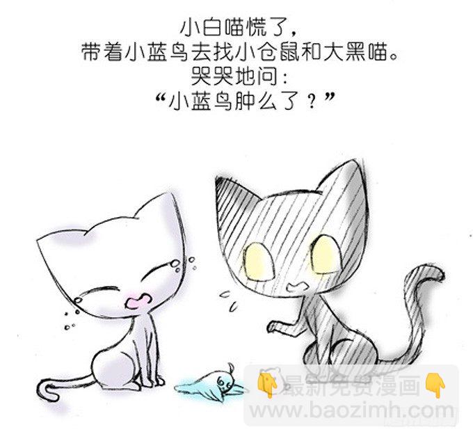 番外：飞星喵4.我好喜欢小蓝鸟的4
