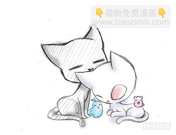 番外：飞星喵5.如果大家是动物3