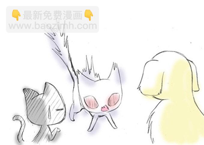 番外：飞星喵5.如果大家是动物5