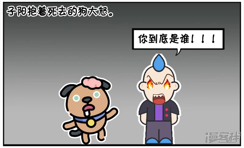 五百万买了一条小狗命3