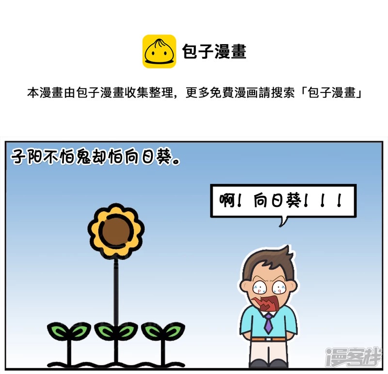 子阳不怕鬼却怕向日葵0