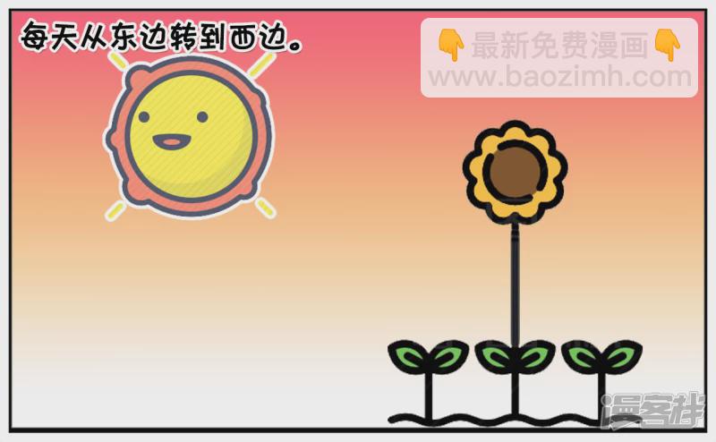 子阳不怕鬼却怕向日葵2