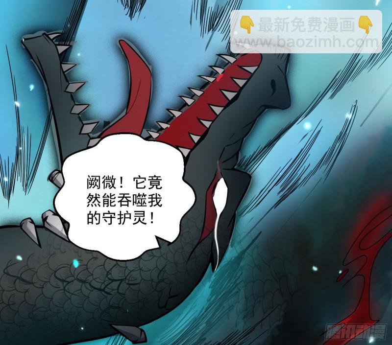 大师挂了52