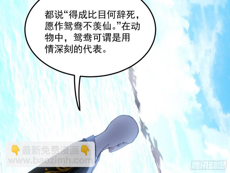 谢道韫的考察106