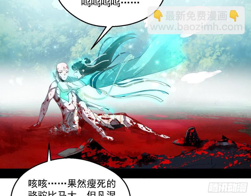 柳暗花明13