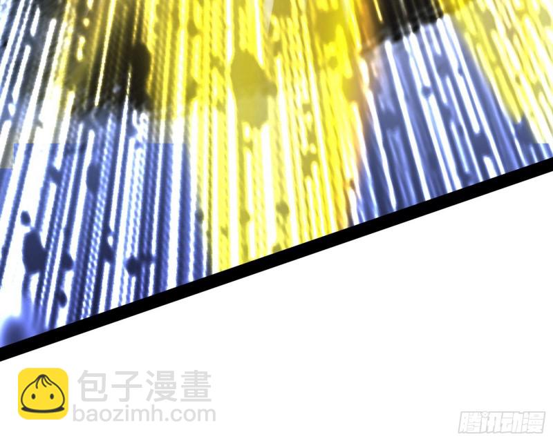 神秘的S级格斗家114