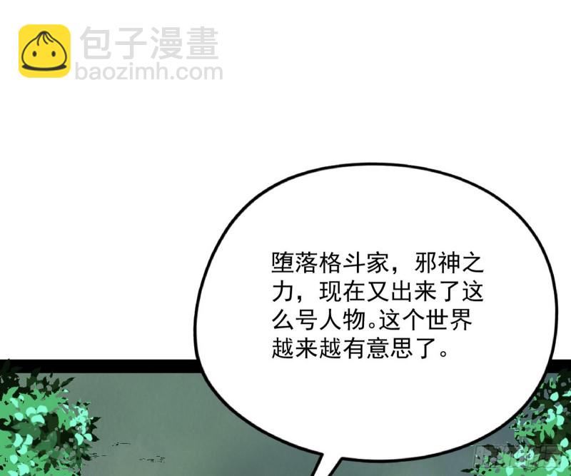 神秘的S级格斗家193