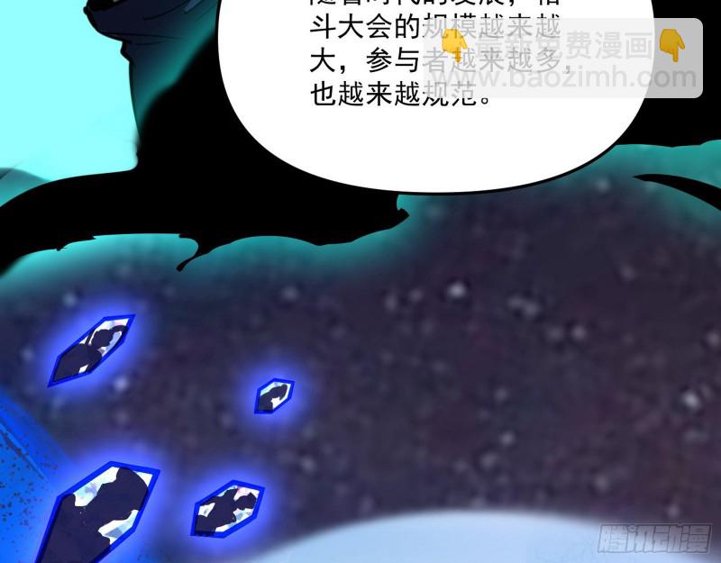 神秘的S级格斗家20