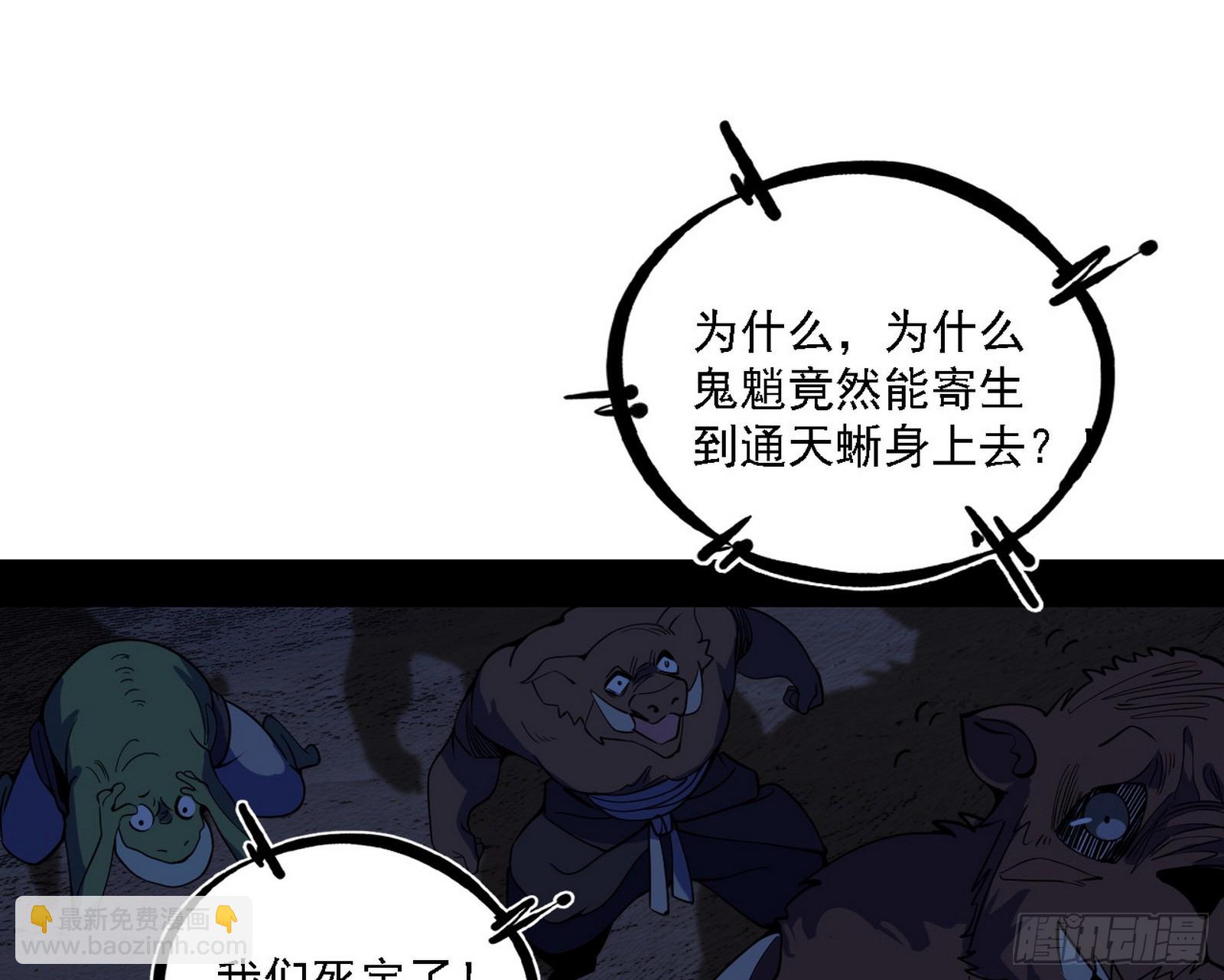 来自五星灵的降维打击11