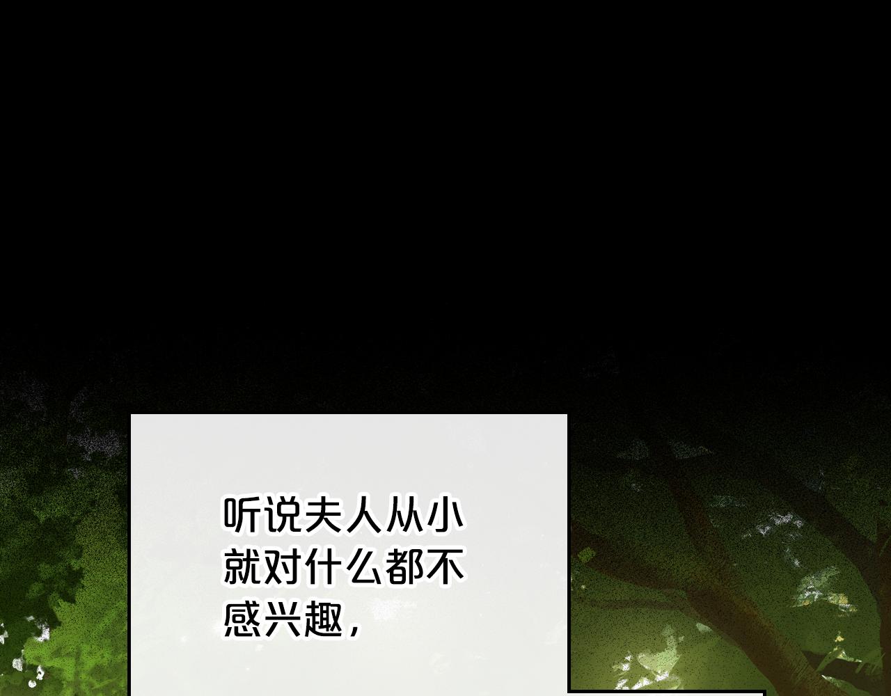 第81话 真正的夫妻？0