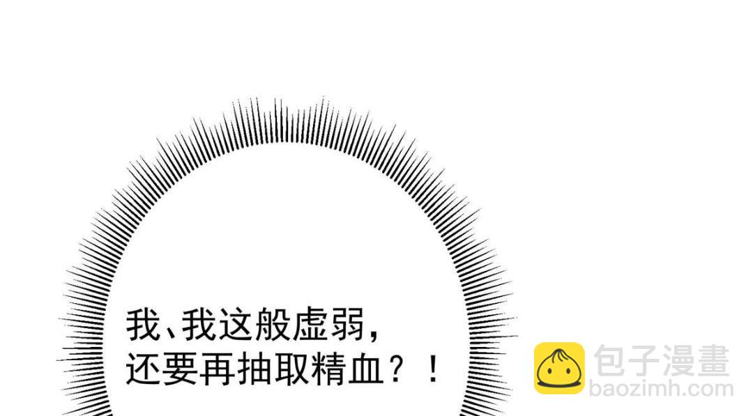 242 万一是美人塔主呢？117