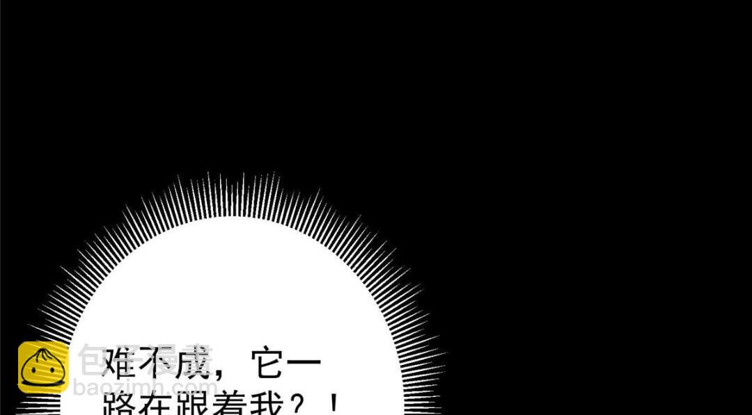 242 万一是美人塔主呢？25