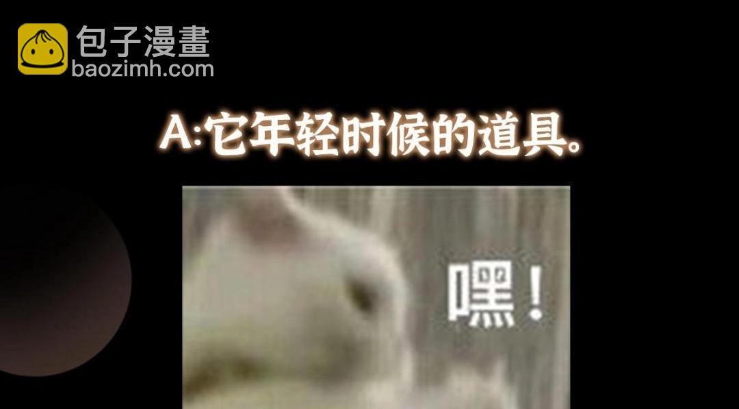 255 痴呆又机灵！143