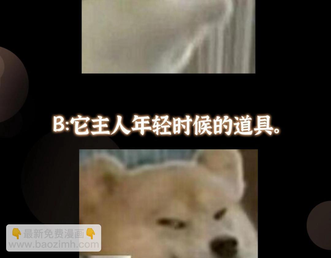255 痴呆又机灵！144