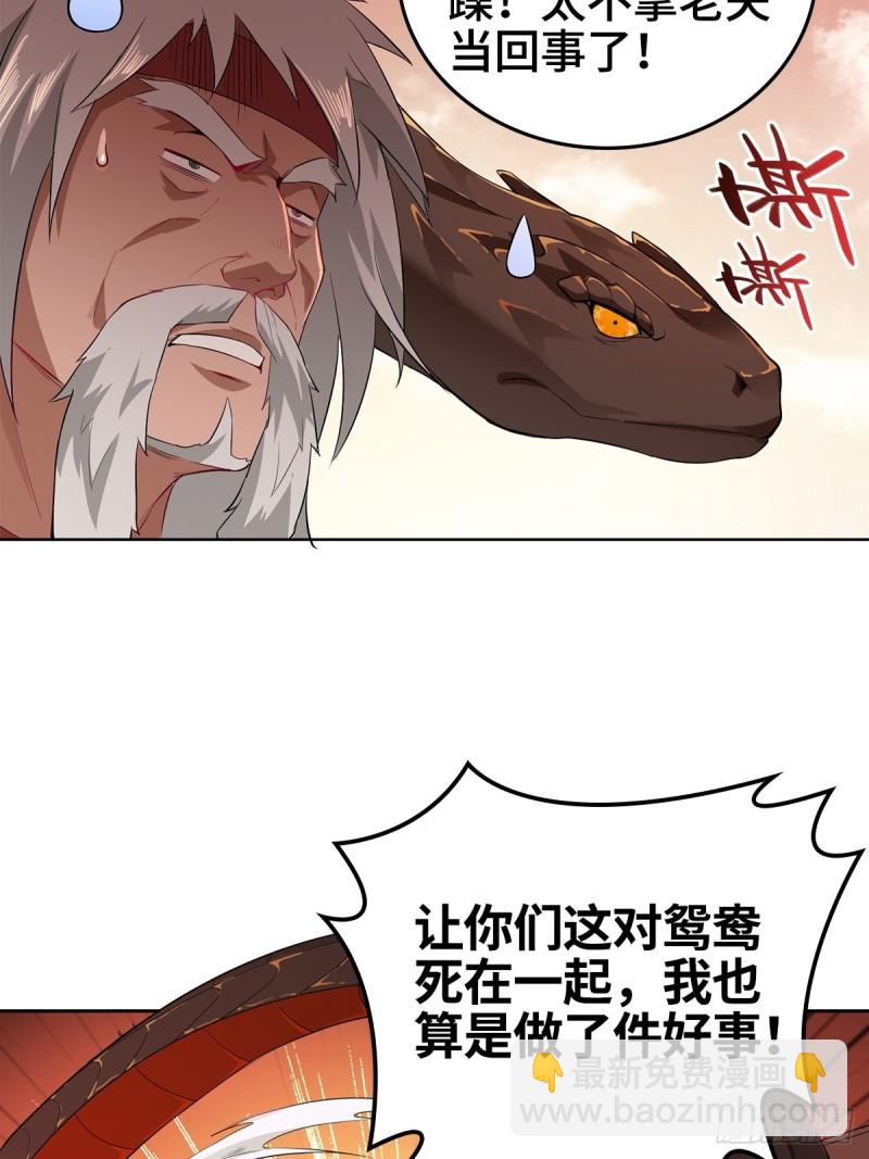 比翼双飞29